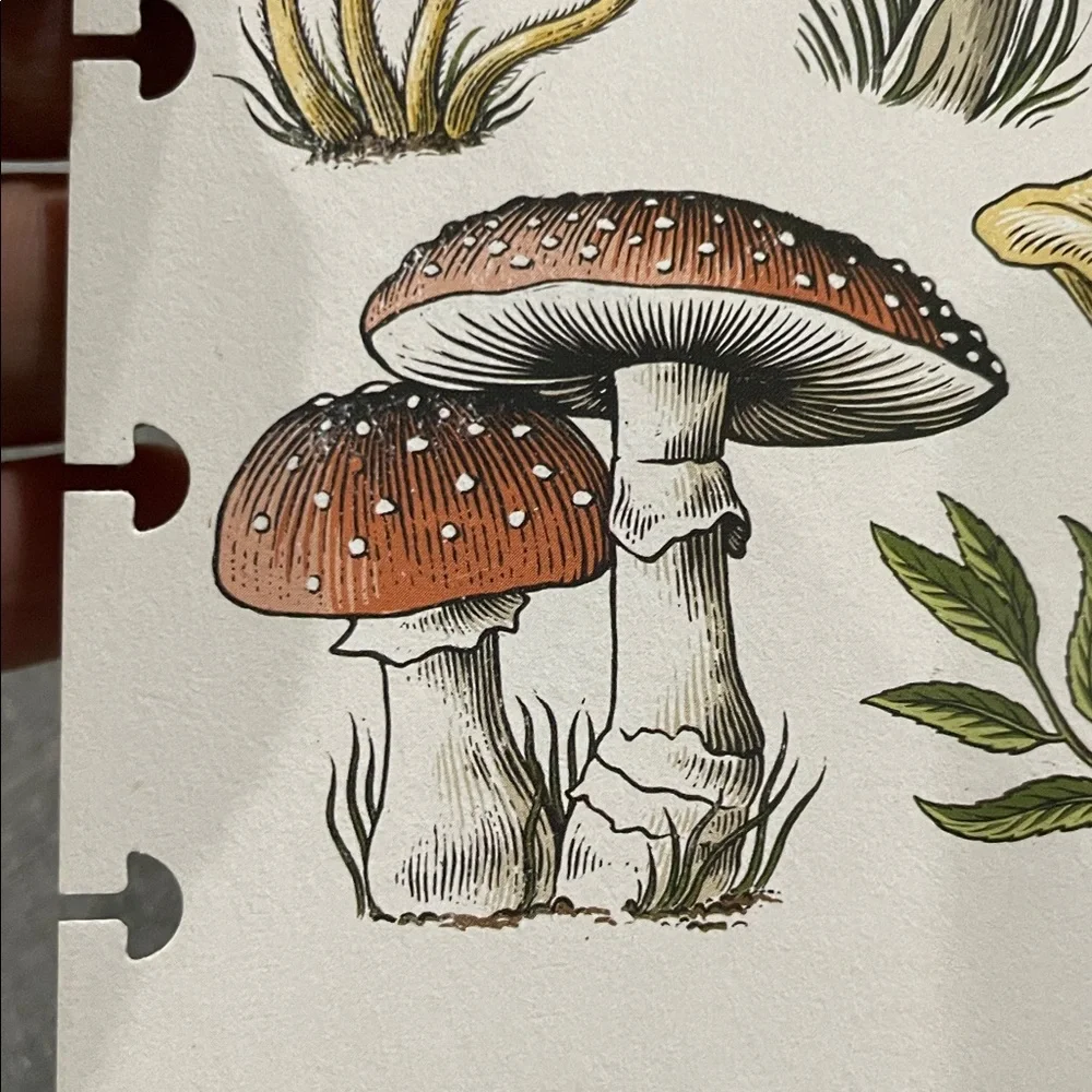Mushroom and Honey Bee Comb TUL double sided